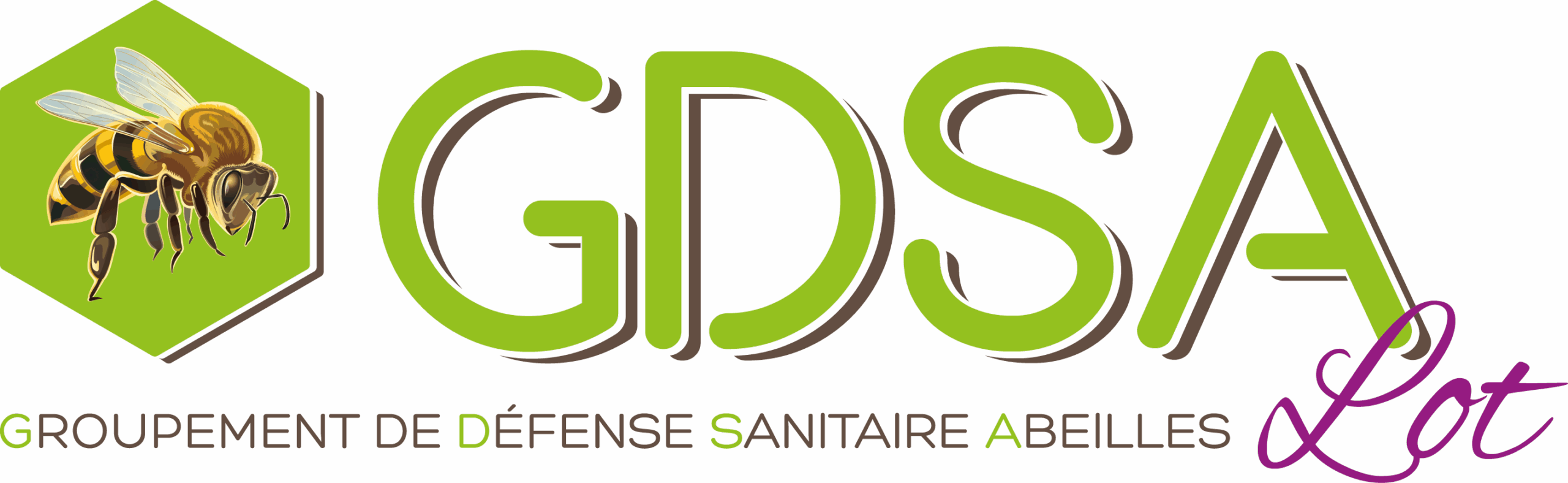 logo gdsa
