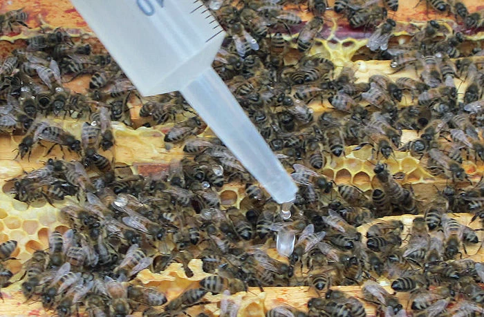 traitement par dégouttement