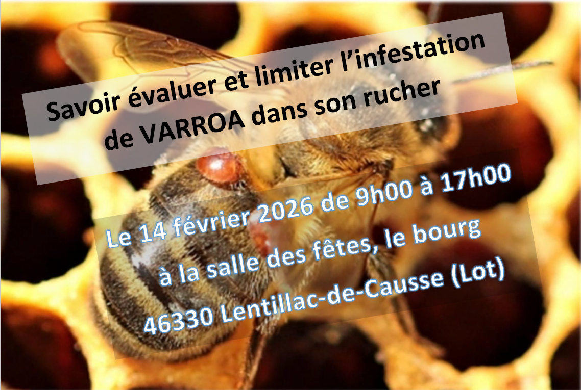 capture d'écran 2026 01 30 093442