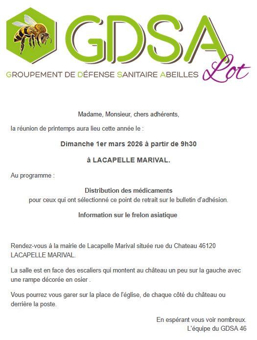 capture d'écran 2026 02 16 110007