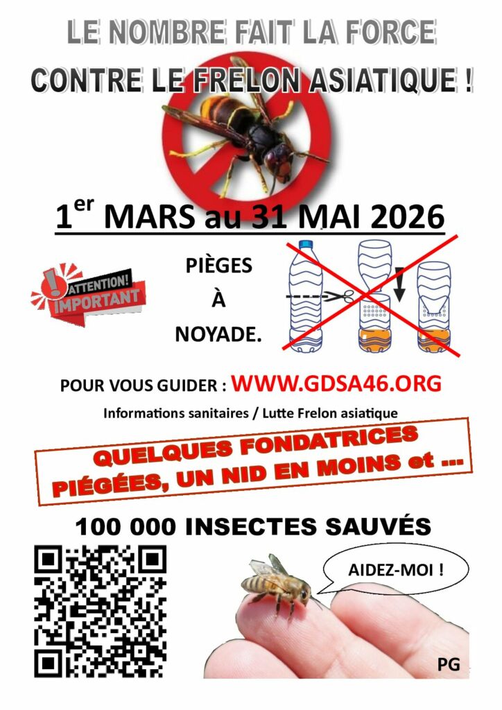 Lutte contre le frelon asiatique Affiche Lutte Contre Le Frelon Asiatique 2026 GDSA 46 Pdf 724x1024