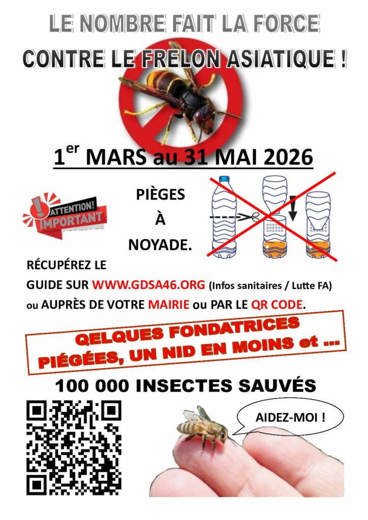 Affiche Lutte Contre Le Frelon Asiatique 2026 GDSA Mairie QR C 1 Pdf 724x1024