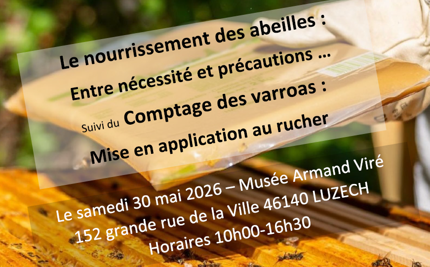 capture d'écran 2026 05 10 091711